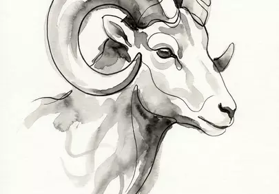 Striking Watercolor Ram: Majestic Horns in Ink Art