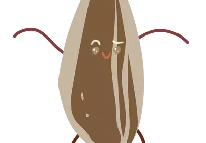 Charming Animated Sunflower Seed Character Dancing Happily