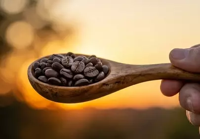 Golden Hour Coffee: Aromatic Beans at Sunset
