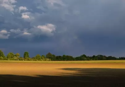 Dramatic Sunset Over Field: Nature's Painted Horizon