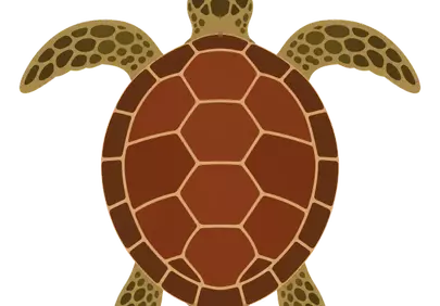 Charming Cartoon Sea Turtle: Top-Down Ocean Wildlife Mascot