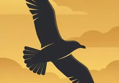Soaring Freedom: Minimalist Seagull Silhouette at Sunset