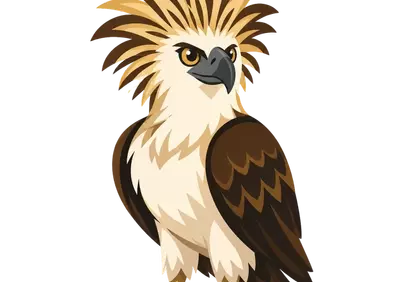 Majestic Philippine Eagle: A Symbol of Tropical Wildlife Protection