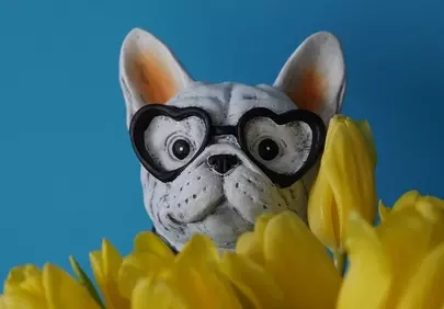 Charming French Bulldog with Heart Glasses Amidst Yellow Tulips