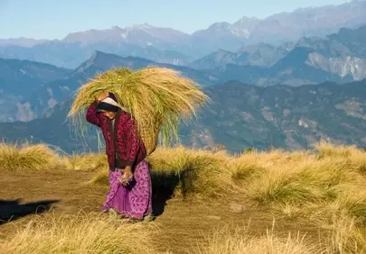 Stunning Himalayan Vista: Local Woman's Resilient Journey