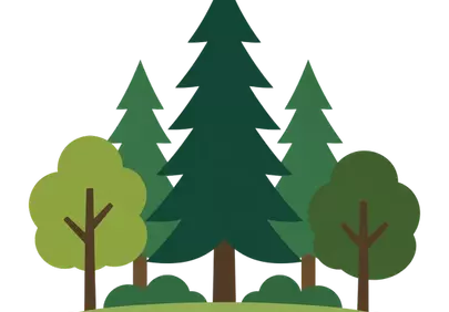 Vibrant Forest Illustration: Peaceful Nature Landscape