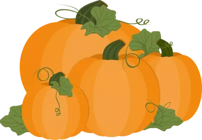 Vibrant Autumn Harvest: A Collection of Festive Pumpkins