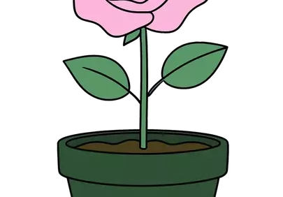 Minimalist Pink Rose in Pot: Elegant Line Art Illustration