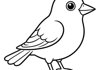 Charming Cartoon Bird: Simple Avian Line Art Illustration