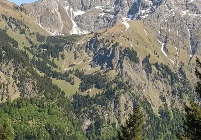 Bavarian Alps Panorama: Spring Flowers & Majestic Peaks
