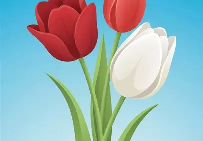 Vibrant Tulip Bouquet: Red and White Blooms Against Blue Sky