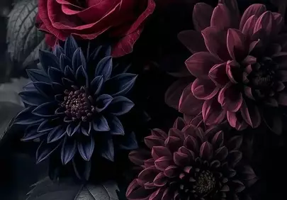 Dramatic Dark Floral Bloom: A Symphony of Deep Hues