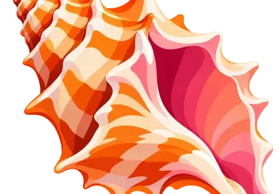 Exotic Pink and Orange Seashell Illustration: A Tropical Marine Beauty