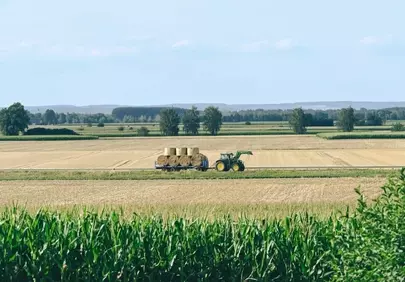 Bountiful Harvest: Tractor Hauls Hay Bales Across Golden Fields
