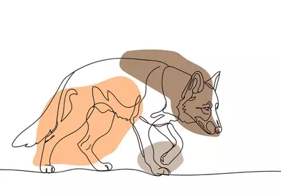 Minimalist Canine Elegance: Tracking Shepherd Line Art