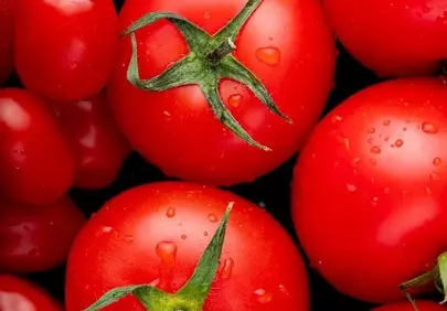 Vibrant Red Tomatoes: Freshly Washed & Ready for Your Table