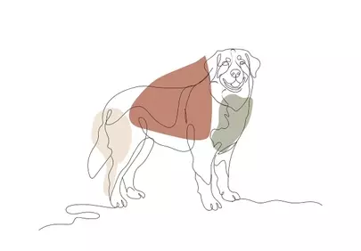 Minimalist Dog Art: Serene Line Drawing with Pastel Hues