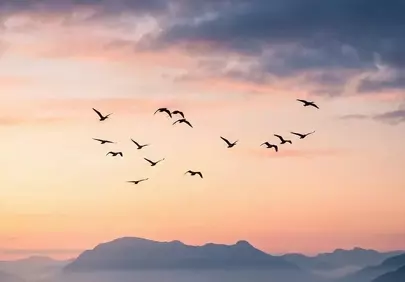 Serene Dawn Flight: Birds Over Misty Mountain Lake