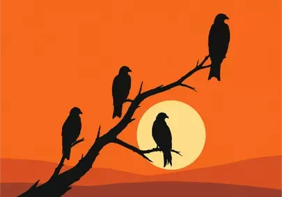 Dramatic Sunset Silhouette: Raptors on a Branch