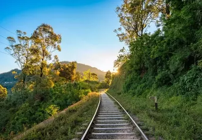 Enchanting Sunset Rails: A Journey Through Nature's Embrace