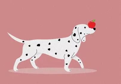 Charming Dalmatians: Playful Apple Balance Act