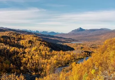 Breathtaking Autumn Mountain Panorama: Golden Forests Embrace Serene Lakes