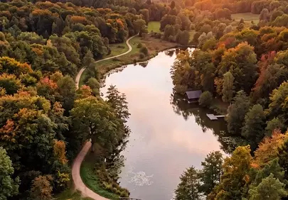 Breathtaking Autumn Dawn: Serene Lake Amidst Golden Forests