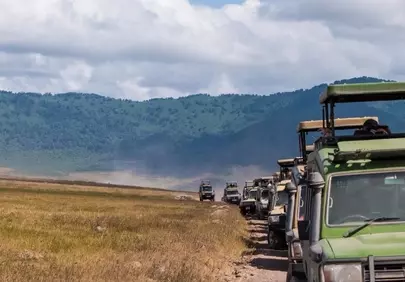 Thrilling Safari Expedition: Ngorongoro Crater Adventure