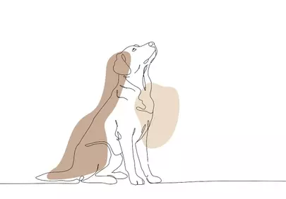Minimalist Labrador: Elegant Line Art Pet Wallpaper