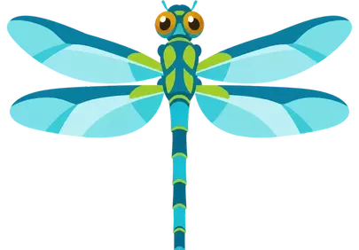 Vibrant Stylized Dragonfly Illustration: Nature's Modern Art
