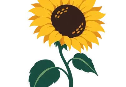 Vibrant Blooming Sunflower: A Glimmer of Summer Joy