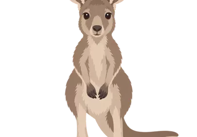 Charming Animated Kangaroo Illustration: Iconic Australian Wildlife Portrait