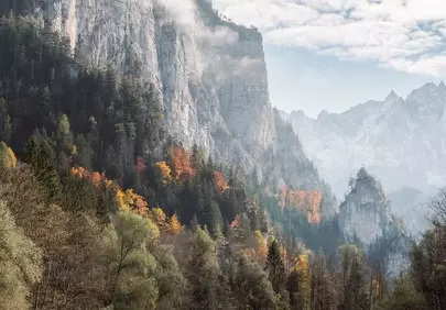 Breathtaking Austrian Alpine River Valley in Autumn Mist