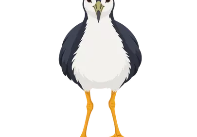 Vibrant White-breasted Waterhen Illustration: A Marsh Bird's Charm