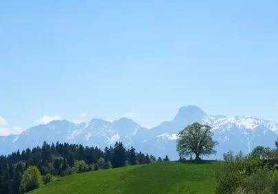 Breathtaking Alps: Serene Spring Landscape of Bern's Mountains