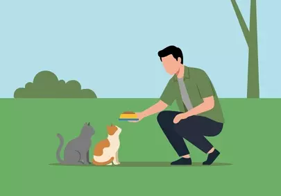Heartwarming Moment: Man Feeding Cats in a Serene Park