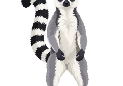 Captivating Ring-tailed Lemur: Full Body Wildlife Illustration