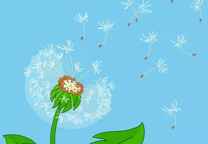 Breezy Dandelion Seeds Taking Flight in Summer Blue