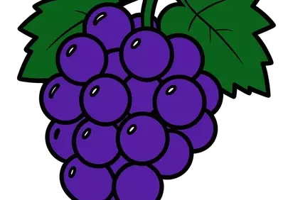 Vibrant Purple Grapes: Juicy Freshness in Line Art