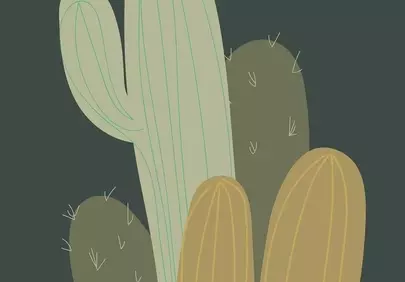 Minimalist Botanical Cactus Art: Modern Boho Charm
