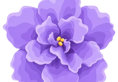 Vibrant Violet Bloom: A Delicate Floral Masterpiece