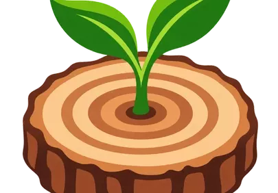 Vibrant Sprout: A Symbol of Nature's Enduring Renewal