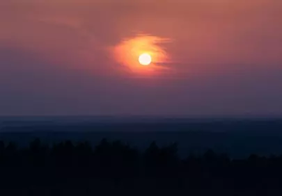Breathtaking Sunset over a Silhouetted Forest