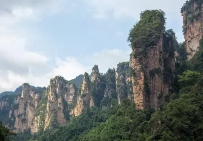 Majestic Peaks: Zhangjiajie's Towering Forest Panorama