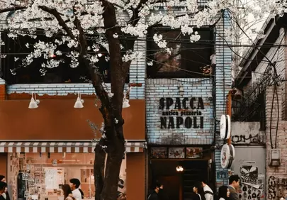 Vibrant Spring Street: Cherry Blossoms and Urban Life