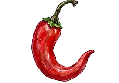 Vibrant Red Chili: Watercolor Spice Illustration