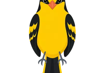 Vibrant Golden Oriole: Majestic Songbird Illustration