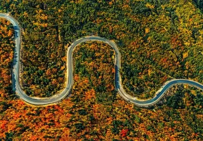 Breathtaking Autumn Road Meandering Through Vibrant Forests