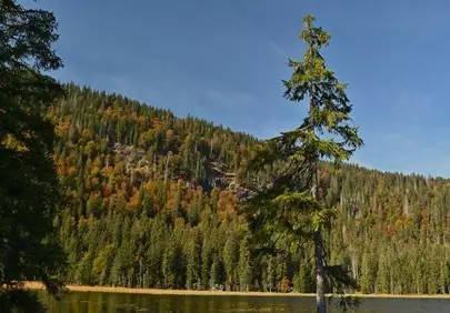 Breathtaking Autumn Lake: Serene Mountain Wilderness Retreat