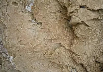 Rugged Natural Rock Texture: Earthy Tones & Intricate Cracks